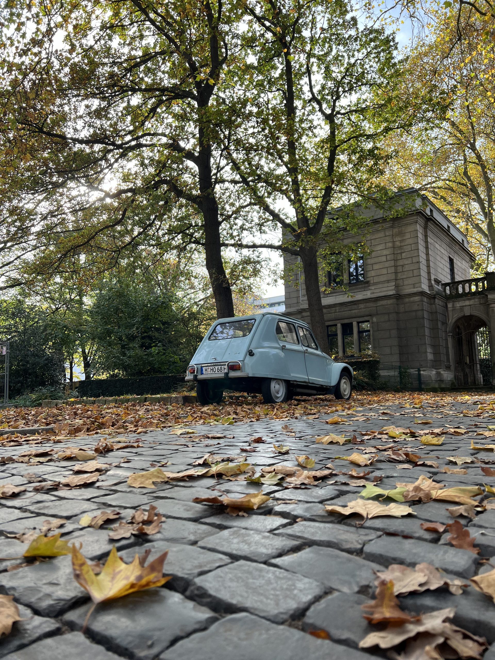 Foto des Monats: September